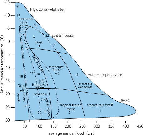 Fig. 11