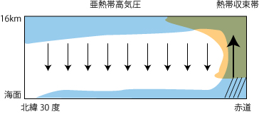 ハドレー循環