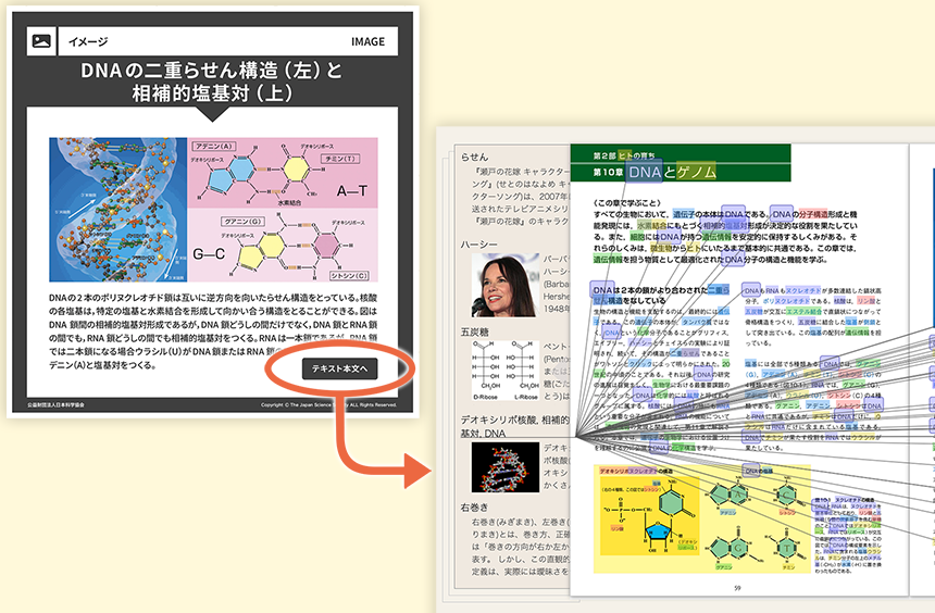 「人間の生命科学テキスト」クルーズ版の機能説明(WEB版へのリンク)