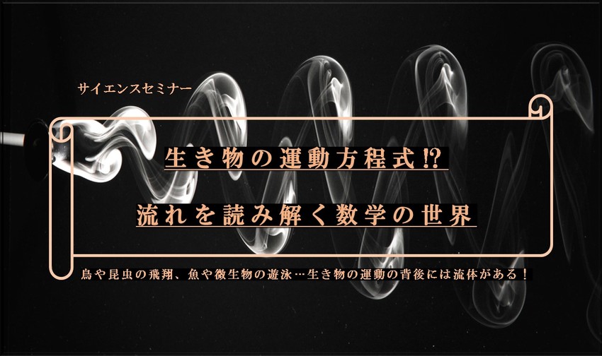 画像説明文