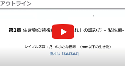 画像説明文