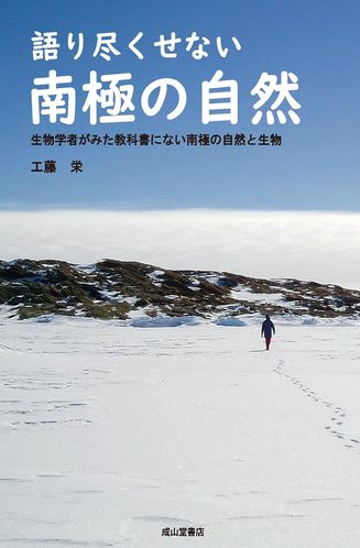 画像説明文